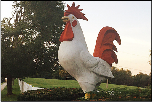 Nor View Farm Upper Merion Township