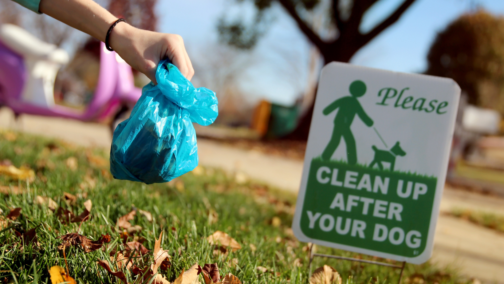 Practice Good Dog Etiquette—Help Keep Our Community and Waterways Clean